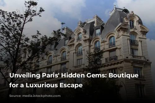 Unveiling Paris' Hidden Gems: Boutique Hotels for a Luxurious Escape