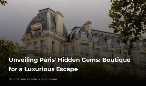 Unveiling Paris' Hidden Gems: Boutique Hotels for a Luxurious Escape