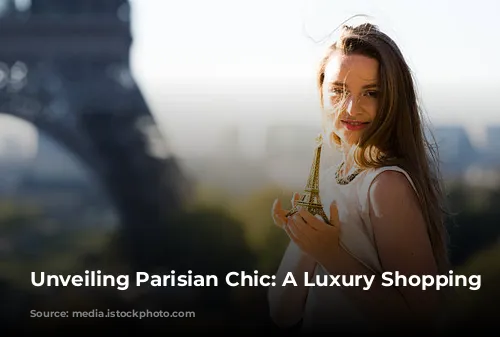 Unveiling Parisian Chic: A Luxury Shopping Journey