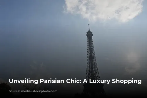 Unveiling Parisian Chic: A Luxury Shopping Journey