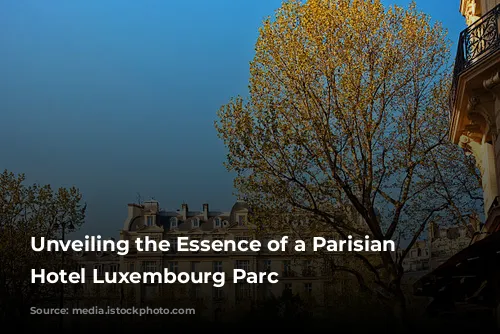 Unveiling the Essence of a Parisian Gem: Hotel Luxembourg Parc