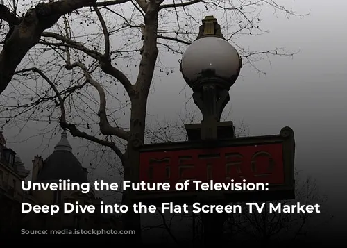 Unveiling the Future of Television: A Deep Dive into the Flat Screen TV Market