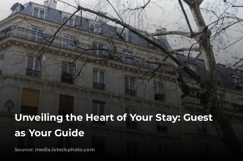 Unveiling the Heart of Your Stay: Guest Reviews as Your Guide