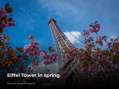 Eiffel Tower in spring