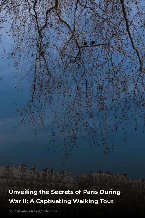 Unveiling the Secrets of Paris During World War II: A Captivating Walking Tour