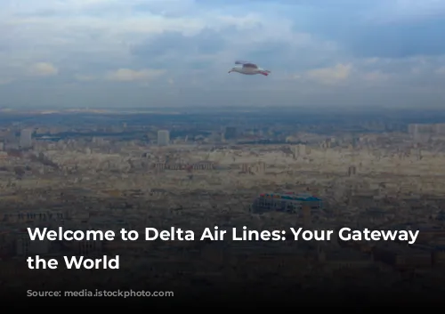 Welcome to Delta Air Lines:  Your Gateway to the World