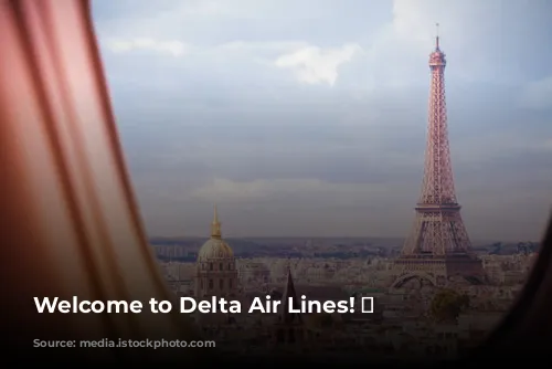 Welcome to Delta Air Lines! ✈️