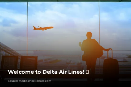 Welcome to Delta Air Lines! ✈️