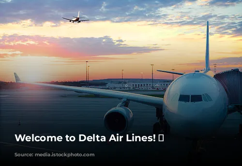 Welcome to Delta Air Lines! ✈️