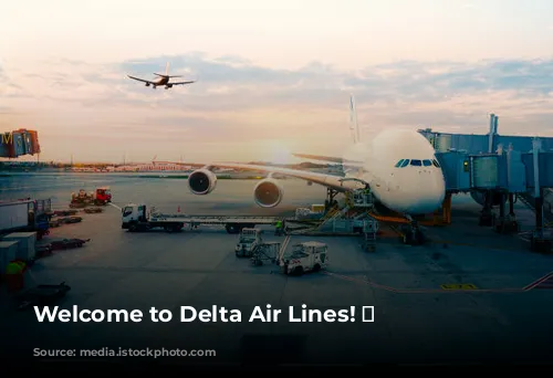 Welcome to Delta Air Lines! ✈️