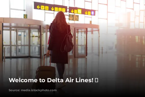 Welcome to Delta Air Lines! ✈️