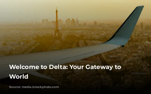 Welcome to Delta: Your Gateway to the World