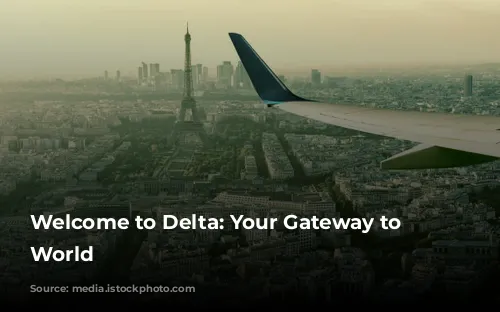 Welcome to Delta: Your Gateway to the World