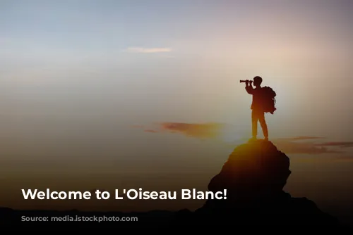 Welcome to L'Oiseau Blanc!