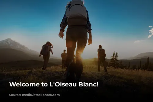 Welcome to L'Oiseau Blanc!