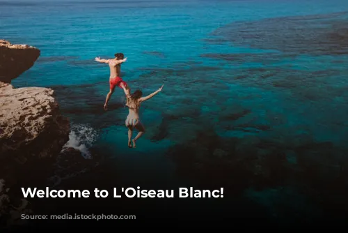 Welcome to L'Oiseau Blanc!