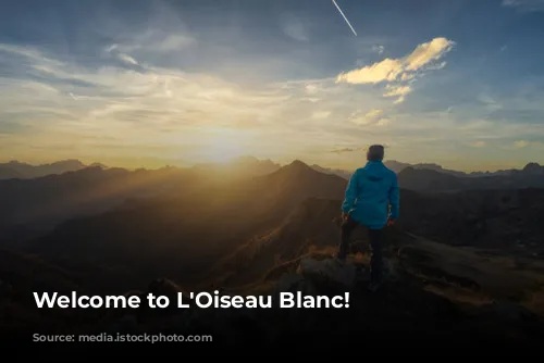 Welcome to L'Oiseau Blanc!