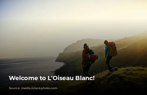 Welcome to L'Oiseau Blanc!