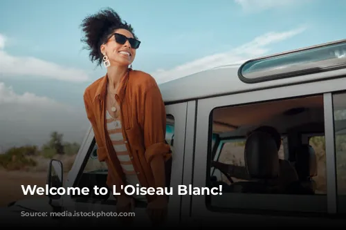 Welcome to L'Oiseau Blanc!