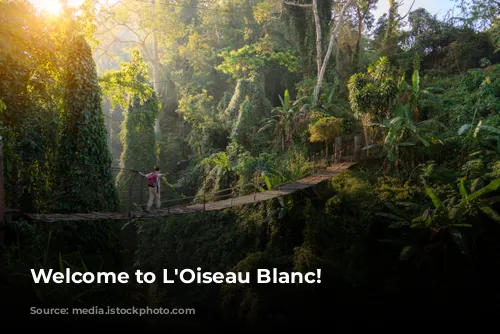 Welcome to L'Oiseau Blanc!