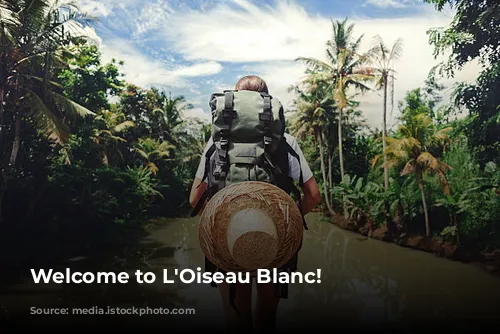 Welcome to L'Oiseau Blanc!