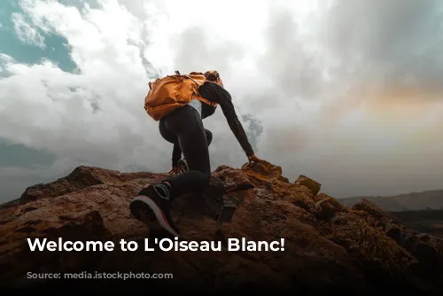 Welcome to L'Oiseau Blanc!