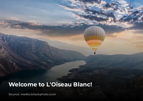 Welcome to L'Oiseau Blanc!