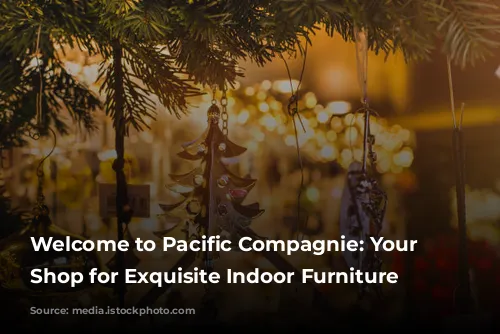 Welcome to Pacific Compagnie: Your One-Stop Shop for Exquisite Indoor Furniture