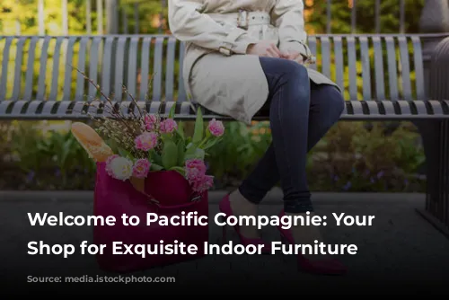 Welcome to Pacific Compagnie: Your One-Stop Shop for Exquisite Indoor Furniture