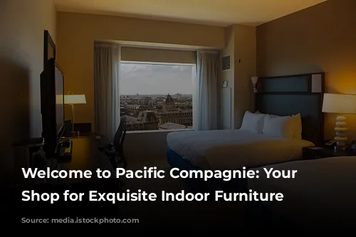 Welcome to Pacific Compagnie: Your One-Stop Shop for Exquisite Indoor Furniture