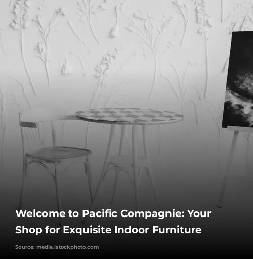 Welcome to Pacific Compagnie: Your One-Stop Shop for Exquisite Indoor Furniture