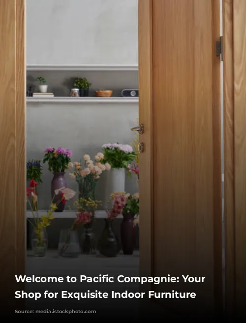 Welcome to Pacific Compagnie: Your One-Stop Shop for Exquisite Indoor Furniture