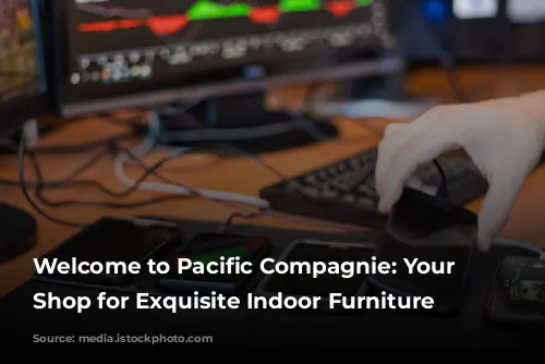 Welcome to Pacific Compagnie: Your One-Stop Shop for Exquisite Indoor Furniture