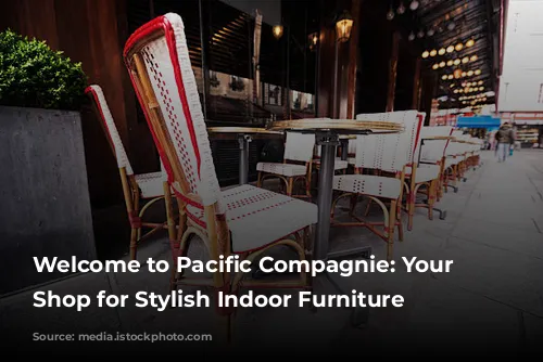 Welcome to Pacific Compagnie: Your One-Stop Shop for Stylish Indoor Furniture