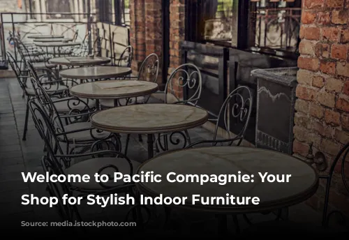 Welcome to Pacific Compagnie: Your One-Stop Shop for Stylish Indoor Furniture