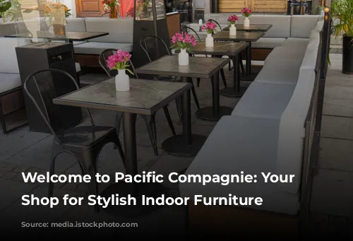 Welcome to Pacific Compagnie: Your One-Stop Shop for Stylish Indoor Furniture