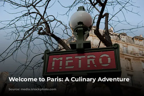 Welcome to Paris: A Culinary Adventure Awaits