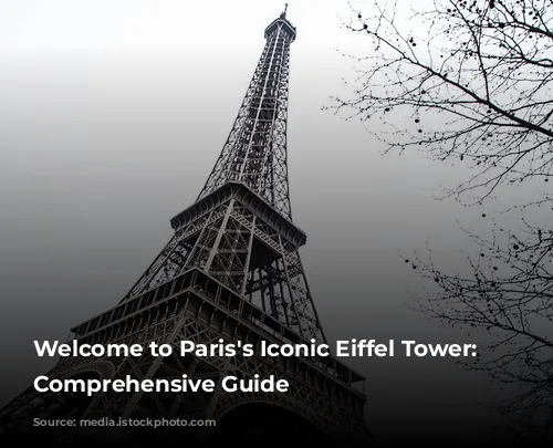 Welcome to Paris's Iconic Eiffel Tower: A Comprehensive Guide