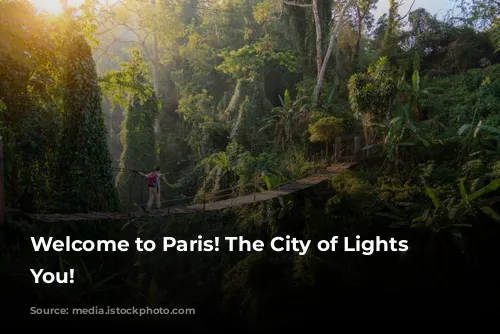 Welcome to Paris! The City of Lights Awaits You!