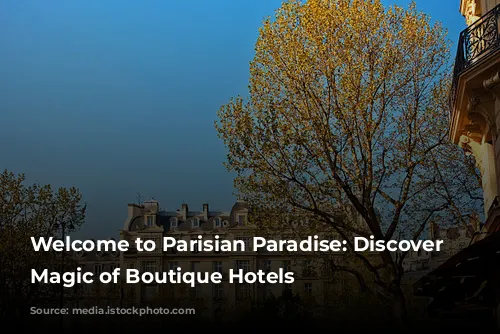 Welcome to Parisian Paradise: Discover the Magic of Boutique Hotels