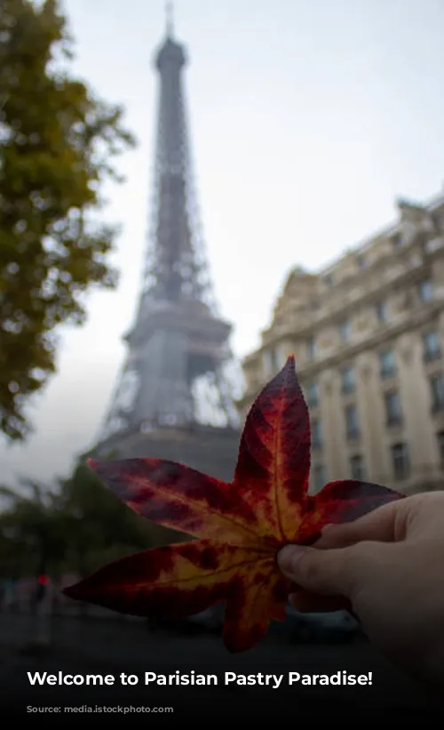 Welcome to Parisian Pastry Paradise!