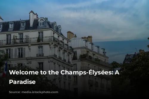 Welcome to the Champs-Élysées: A Parisian Paradise