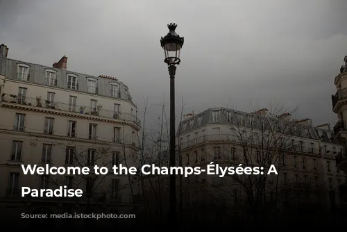 Welcome to the Champs-Élysées: A Parisian Paradise