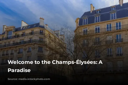 Welcome to the Champs-Élysées: A Parisian Paradise