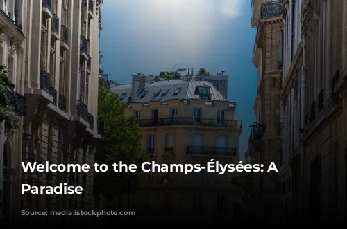 Welcome to the Champs-Élysées: A Parisian Paradise