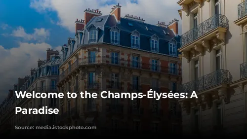 Welcome to the Champs-Élysées: A Parisian Paradise