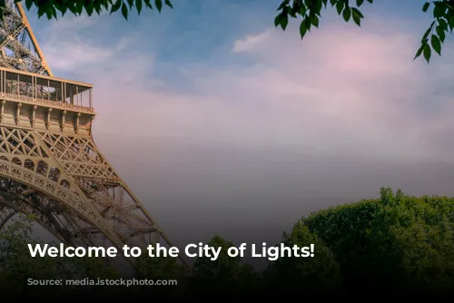 Welcome to the City of Lights!