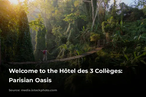 Welcome to the Hôtel des 3 Collèges: Your Parisian Oasis