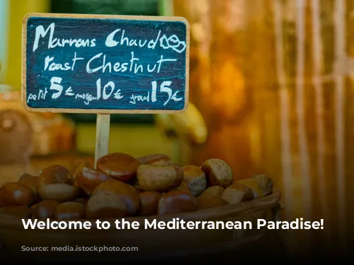 Welcome to the Mediterranean Paradise!