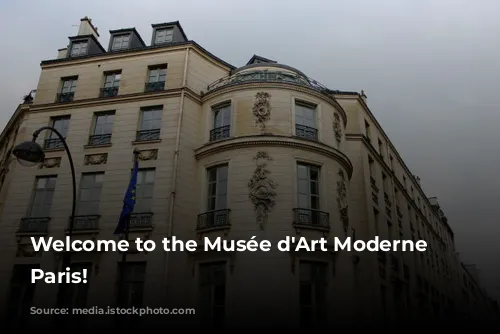 Welcome to the Musée d'Art Moderne de Paris!